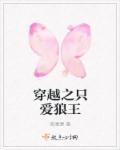 穿越之狼王宠妃