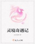灵镜传奇