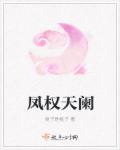 凤天澜