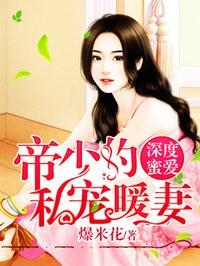 帝少私宠暖妻全文免费