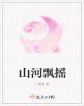 山河破碎风飘絮的山河是什么意思