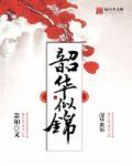 韶华似锦结局