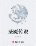 圣域传说中配