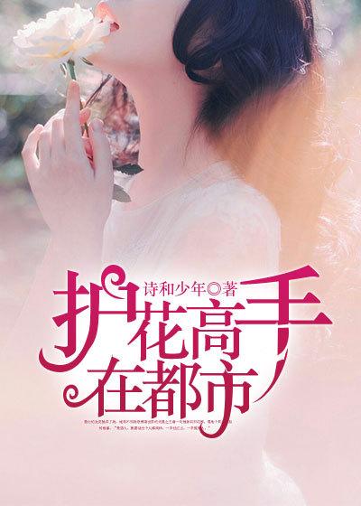 护花高手在都市加料版