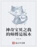 神奇宝贝之坂木是我爹