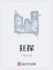狂探全集TXT免费