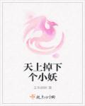 天上掉下个小妖精 讲的什么