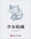 少女收藏家安卓