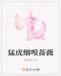 雄狮亦有柔肠
