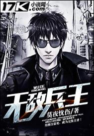 无敌兵王回村当神医