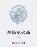 疯狂军火王