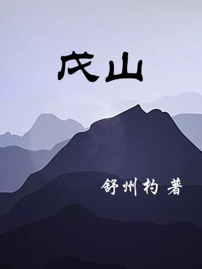 戊山辰兼辛乙正确详解