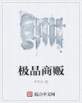 极品店小二免费