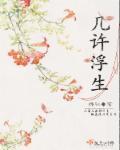 浮生几何的意思