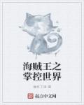海贼之掌控矢量