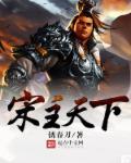 宋主使是什么官