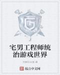 宅男游戏是什么意思