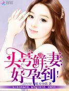 头号鲜妻总裁大人温柔点