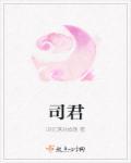 司君之过而书之的司