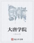 大唐学院现在叫什么