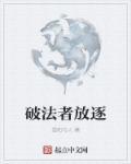 破法者轻盾