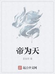 帝为天的全部作品