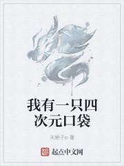 四次元口袋有什么能力