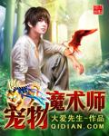 宠物魔术师主要是做什么工作