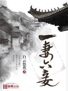 一妻一妾是什么意思