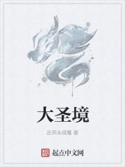 大圣境界和化神境界谁厉害