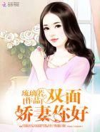 双面总裁宠妻指南免费阅读