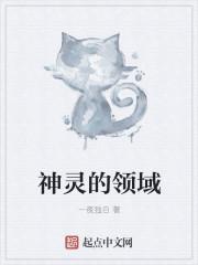 神的领域破解版