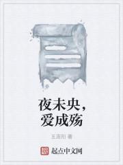 有一首歌叫什么夜未央
