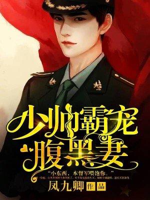 少帅宠妻不脸免费阅读