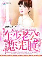 夜少的心尖宠国民妖精无弹窗