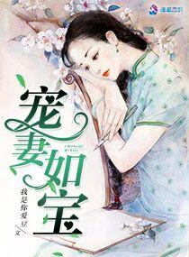 宠妻如宝延琦全文免费阅读