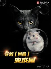 穿越变成猫的叫什么名字