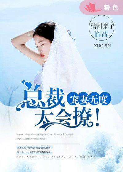 总裁宠妻太无度txt