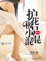 护花极品小混混 淡定