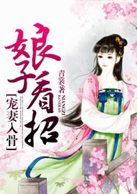 娘子--宠你没商量