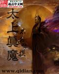 太上真魔是后宫吗