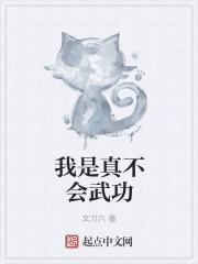 我不会武功 1