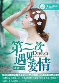 第二次遇见爱情词语