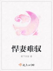 悍妻不好宠全文免费阅读