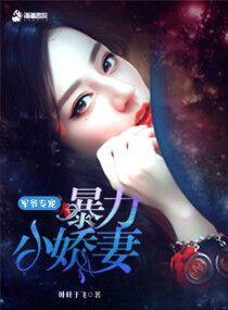 军爷专宠暴力小娇妻 叶叶于飞