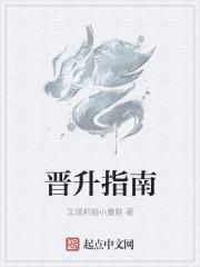 晋升技巧在线播放