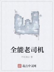 全能老司机第23关