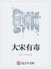 大宋有毒人物介绍