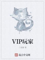 VIP玩家与普通玩家