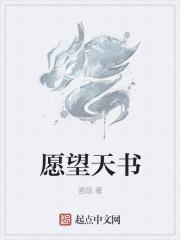 愿望的天空